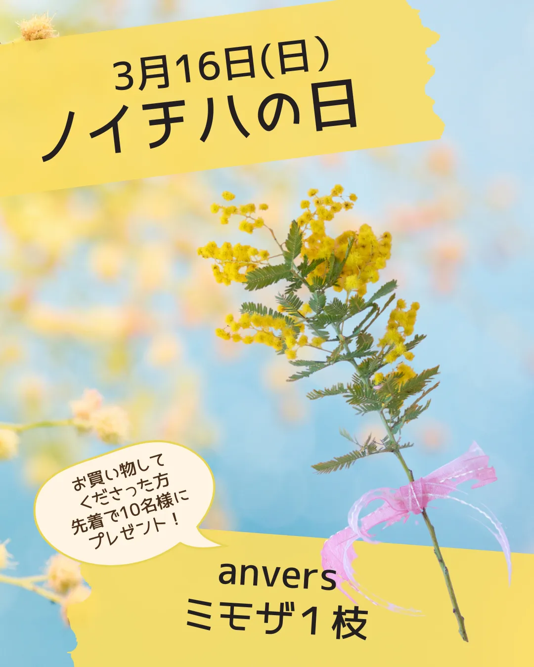 3/16🍃ノイチハの日🍃