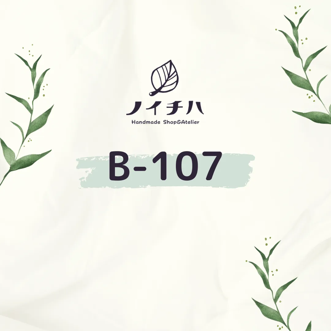 B-107