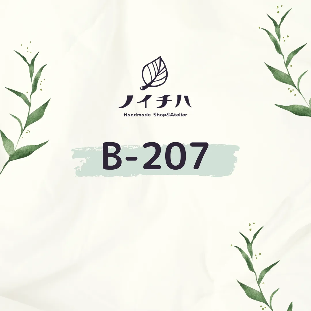 B-207